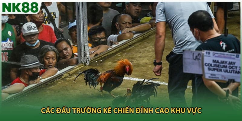 Các đấu trường kê chiến đỉnh cao khu vực