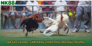 Đá Gà Cựa Dao - Cẩm Nang Chinh Phục Mọi Đấu Trường