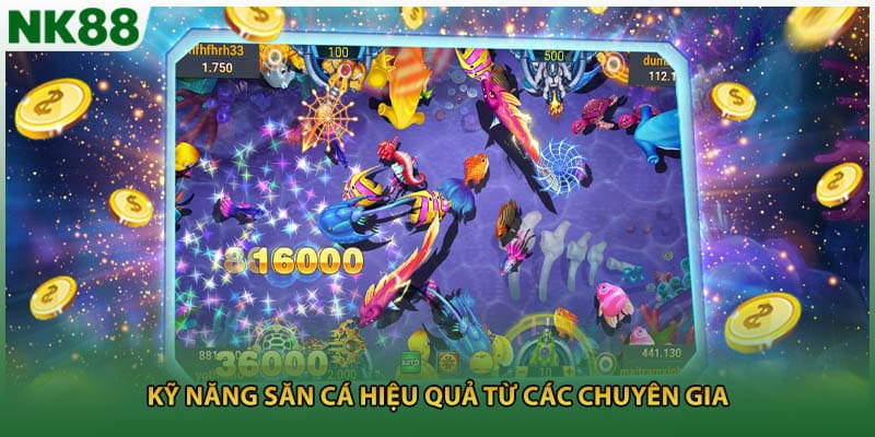 Kỹ năng săn cá hiệu quả từ các chuyên gia